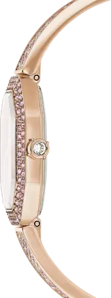Laikrodžiai Swarovski Dextera 5717588