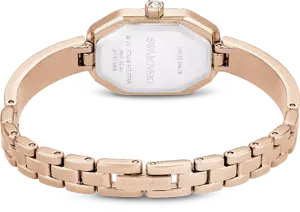 Laikrodžiai Swarovski Dextera 5717588